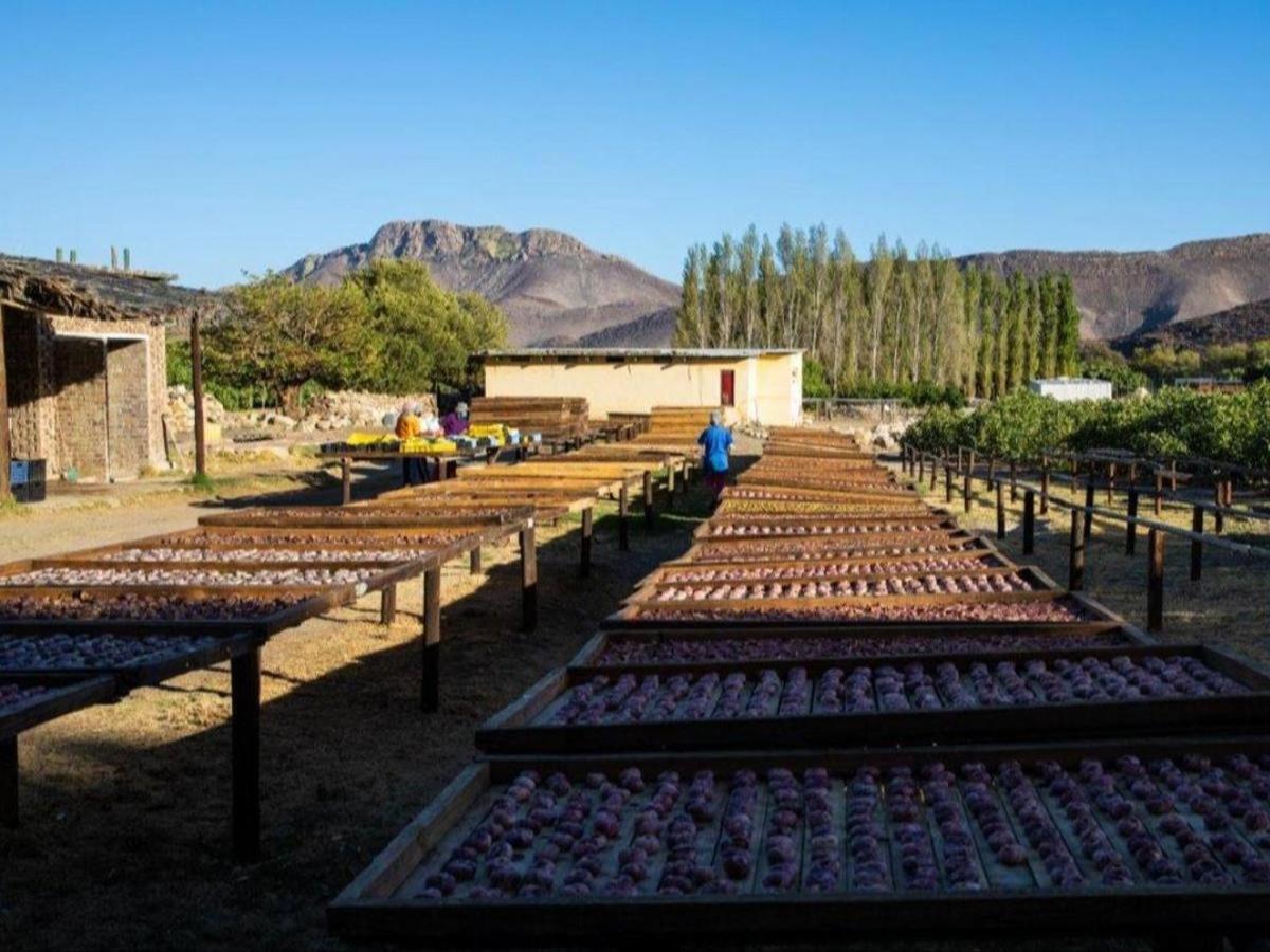 Апартаменты Weltevrede Fig Farm Принс-Альберт Экстерьер фото