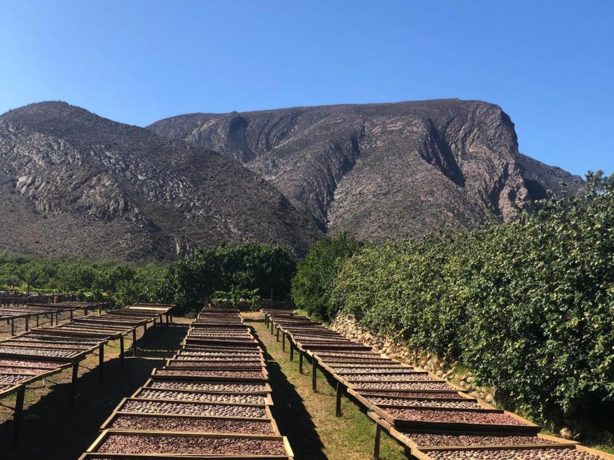 Апартаменты Weltevrede Fig Farm Принс-Альберт Экстерьер фото