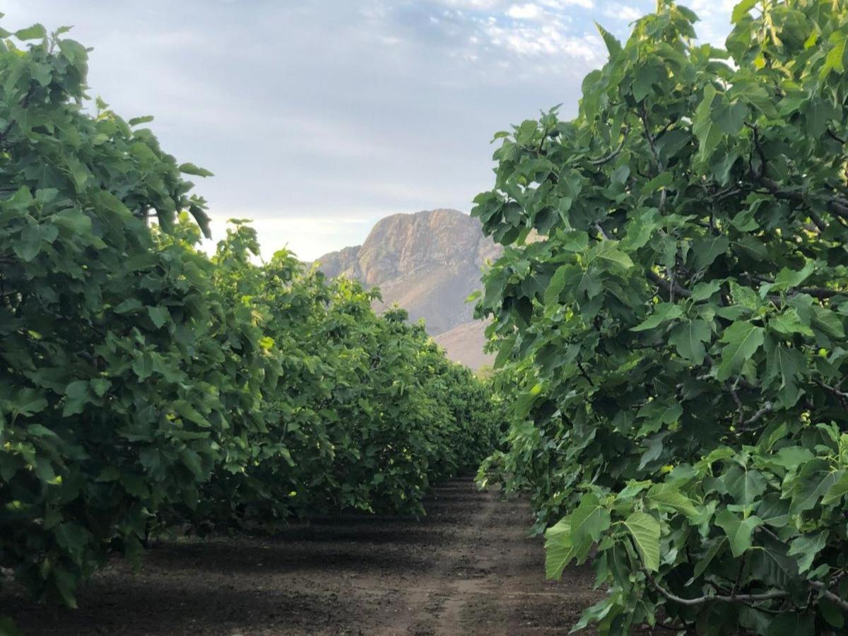 Апартаменты Weltevrede Fig Farm Принс-Альберт Экстерьер фото